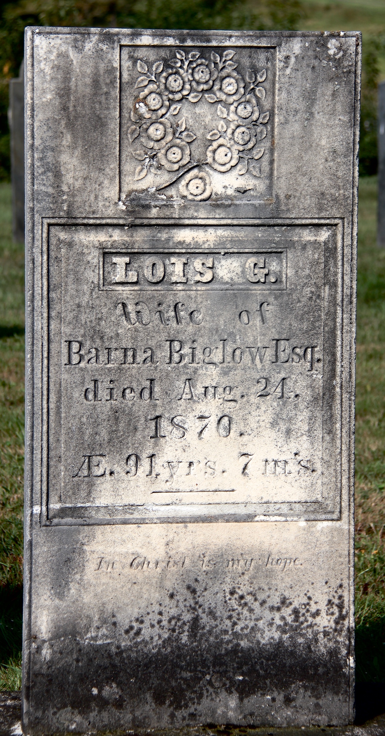 lois grisw