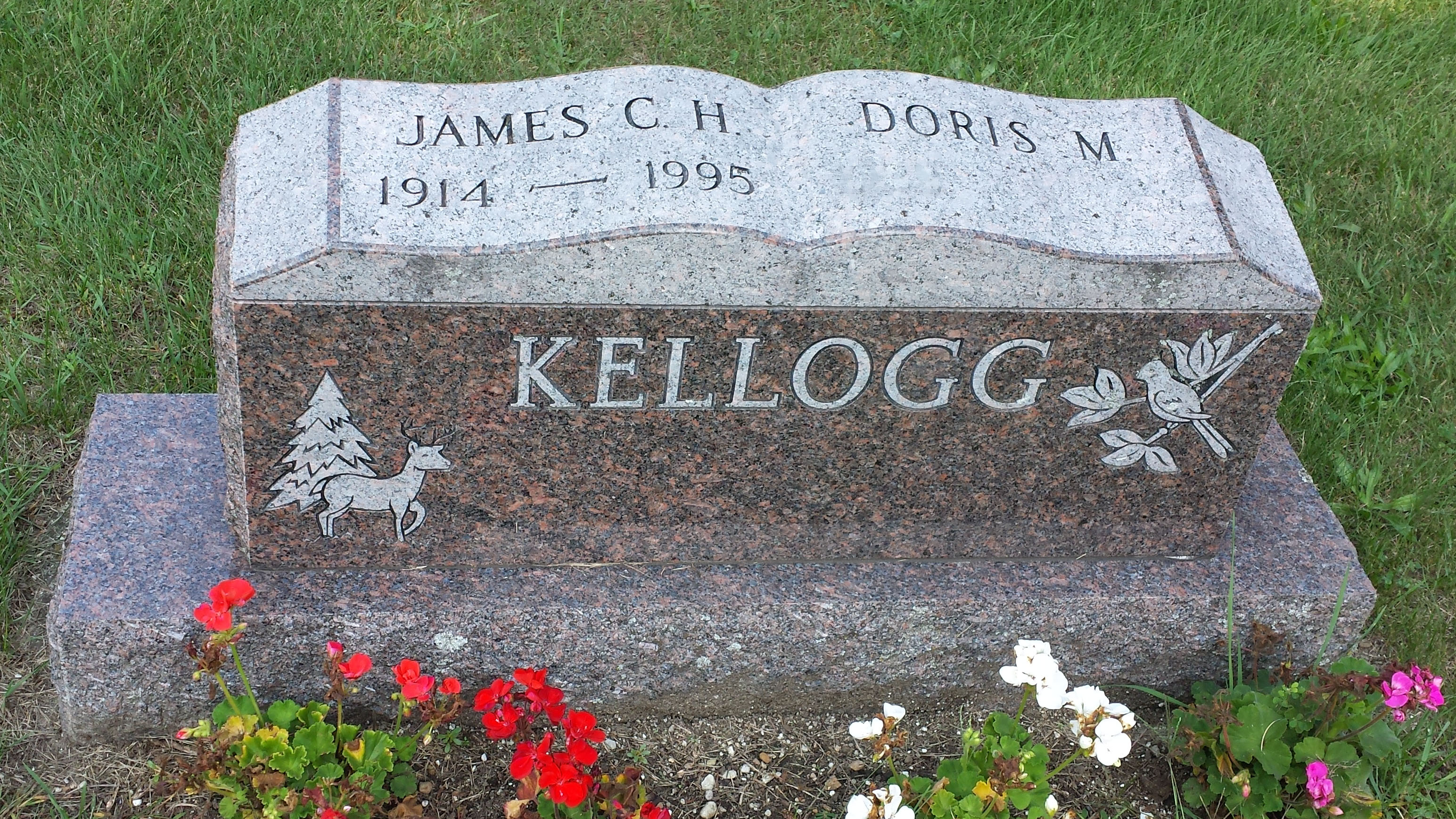 kellogg mem