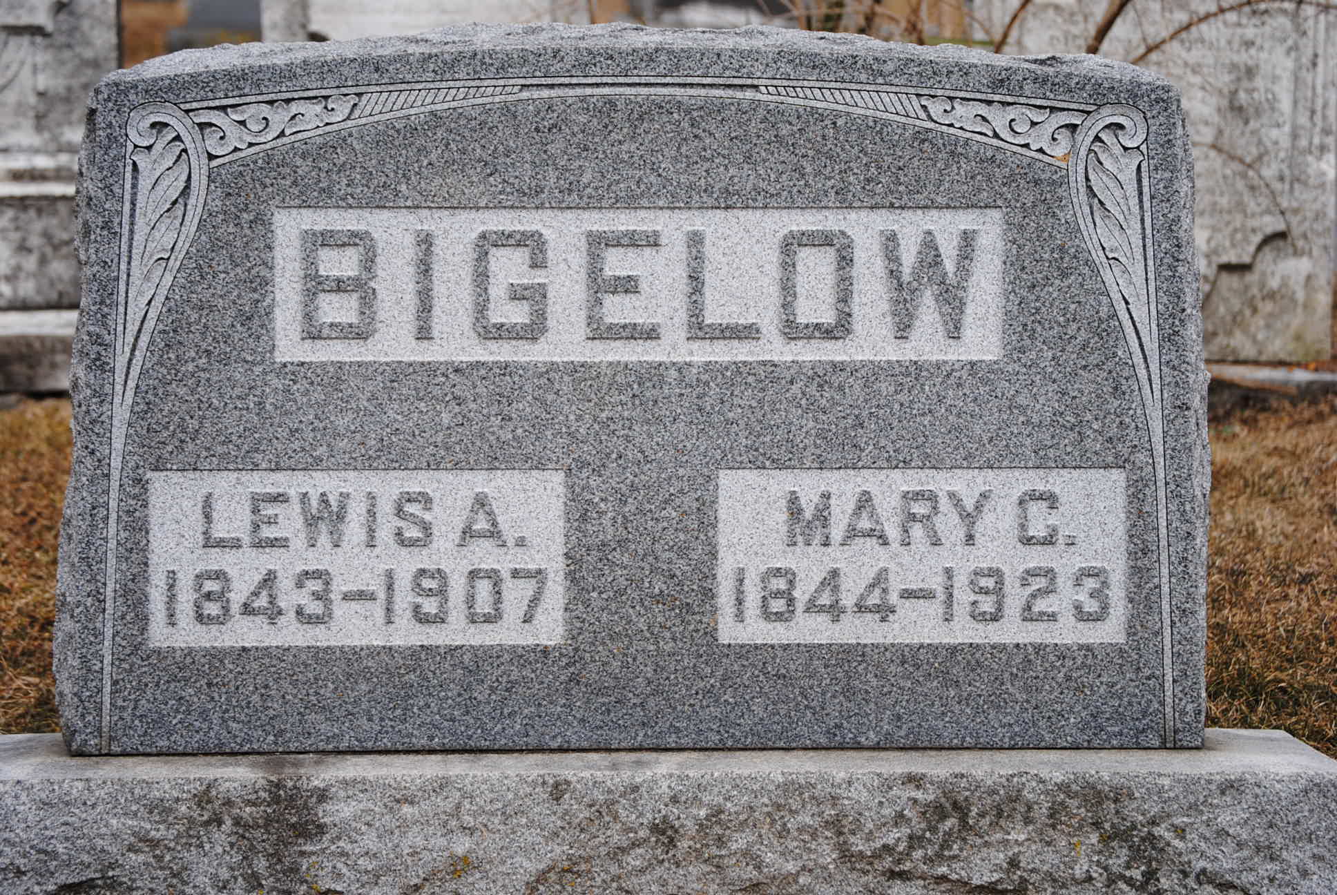 lewis
mary mem