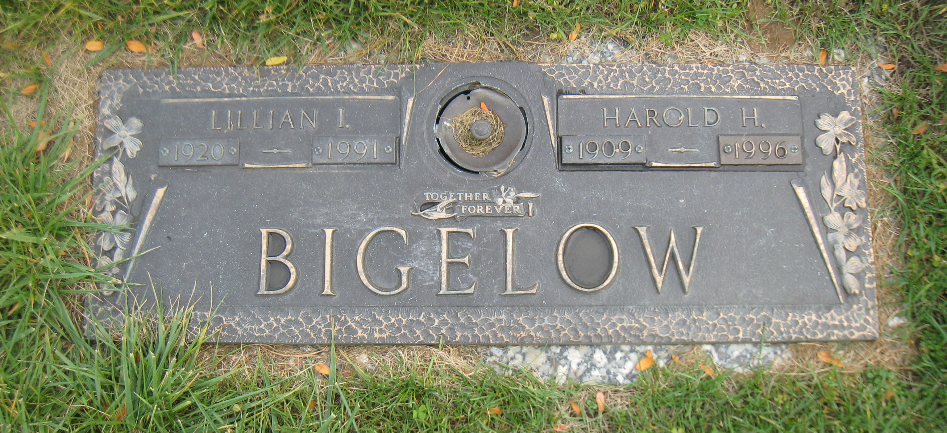 harold
        lillian