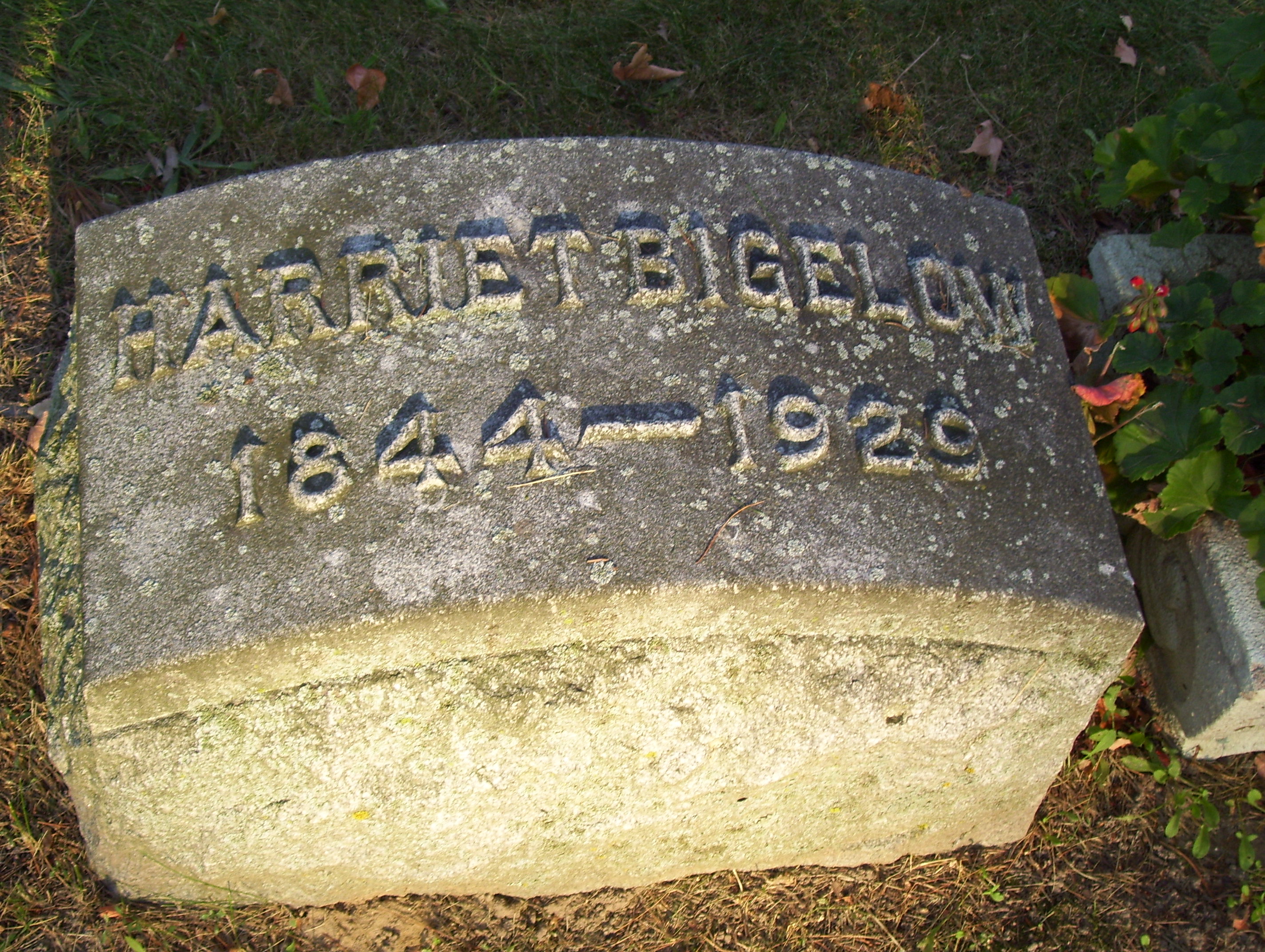harriet
      1929