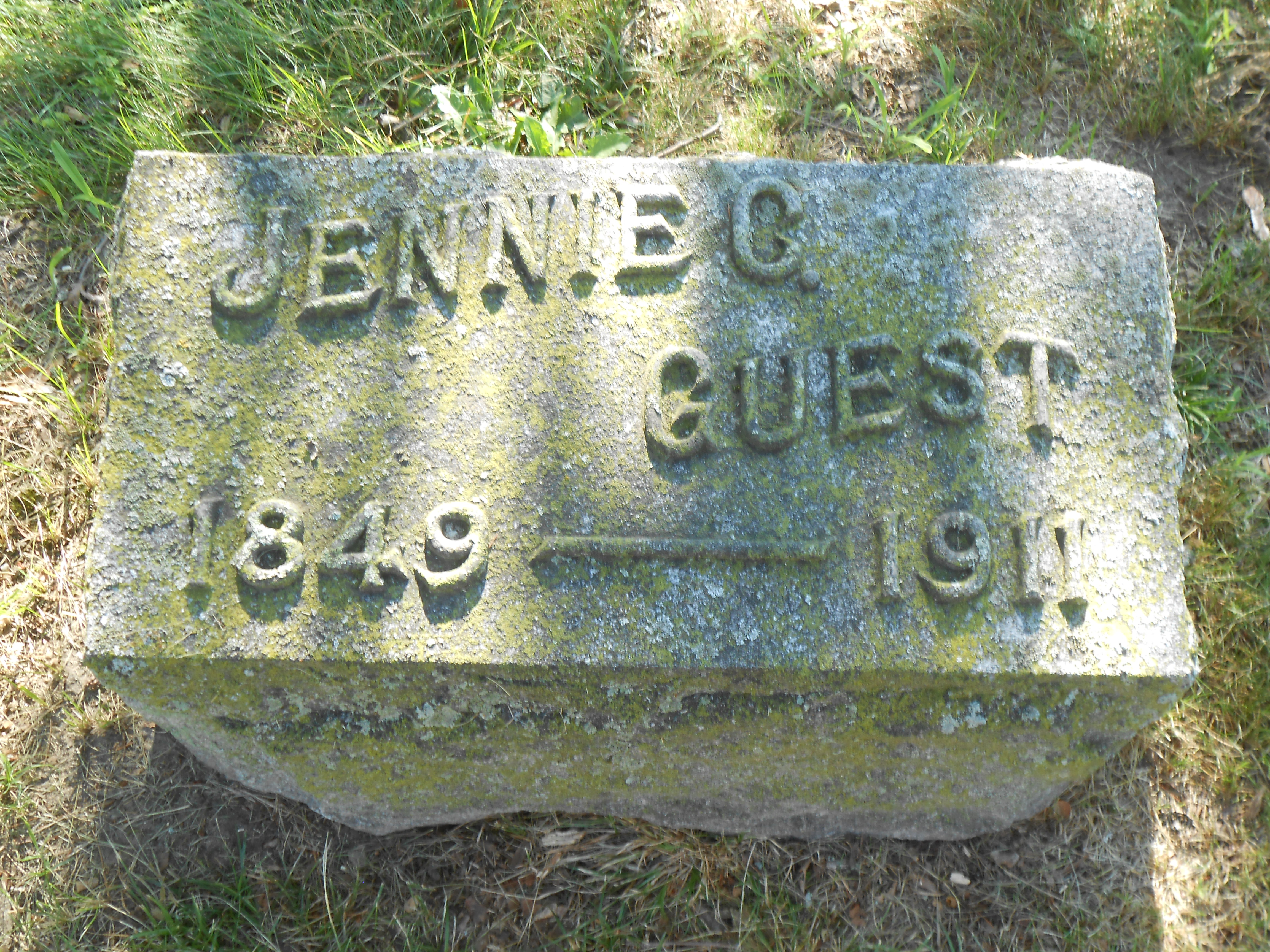 jennie
          c