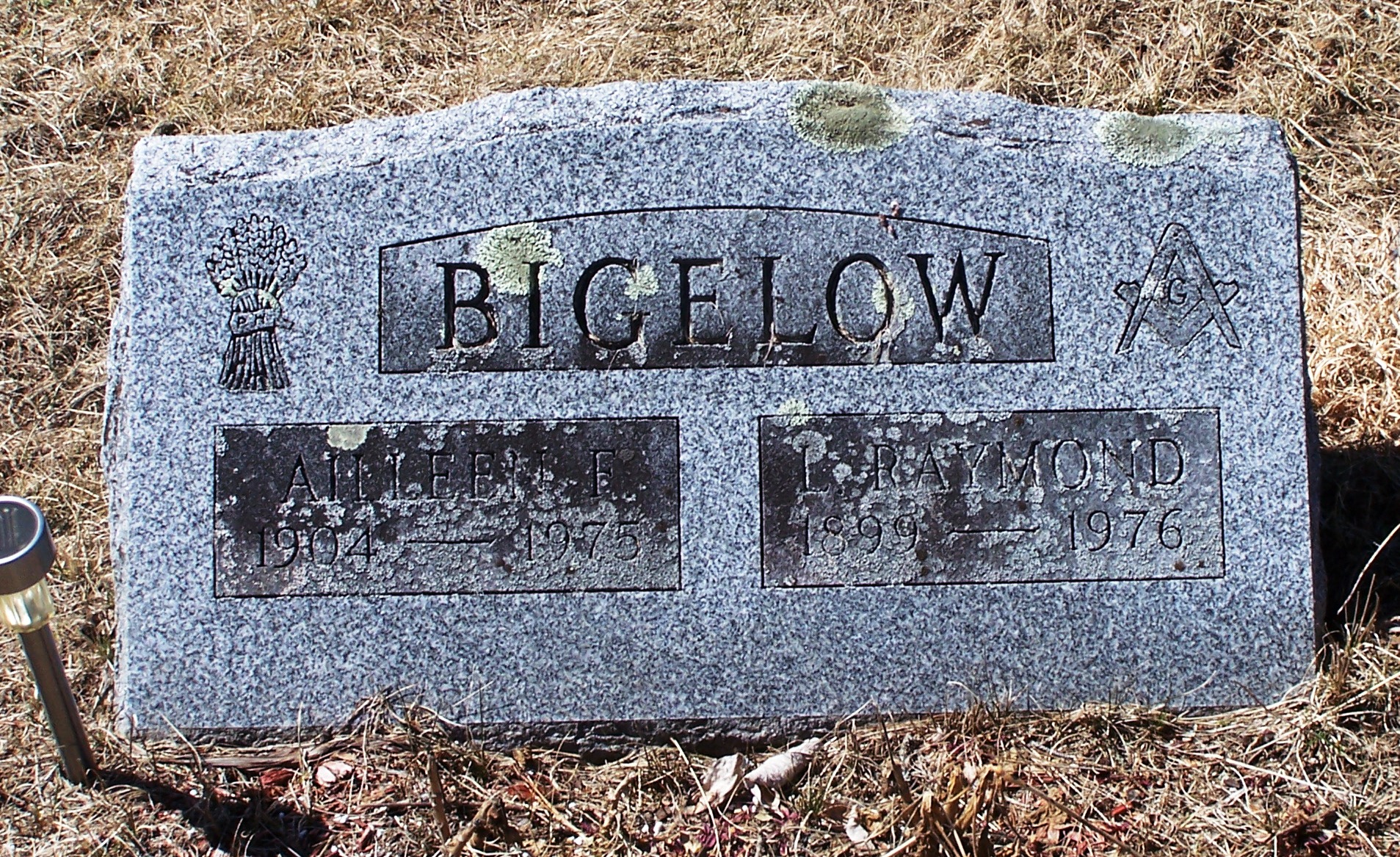 lewrayb